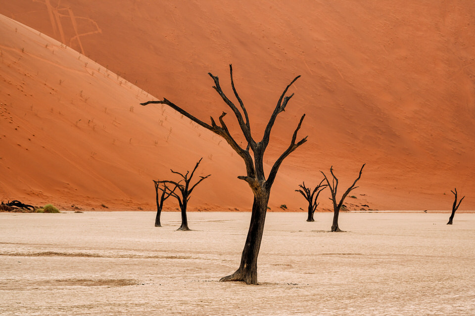 Deadvlei, Namibia - Solitude Amidst the Sand Dunes photo